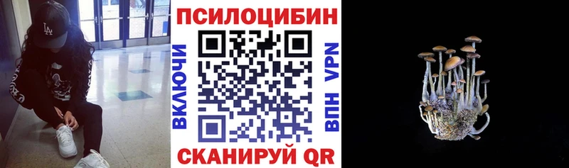 Галлюциногенные грибы Psilocybe  Купить  Лабытнанги 